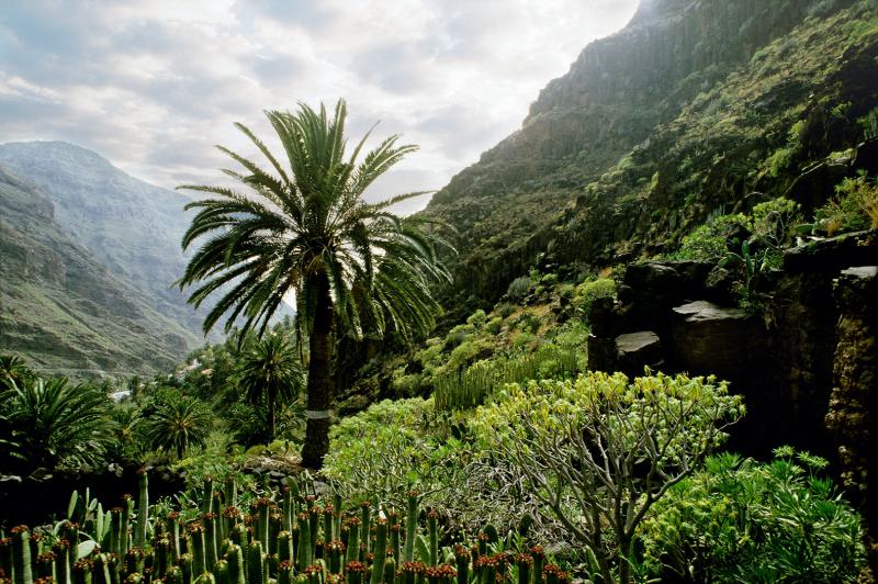 Gomera