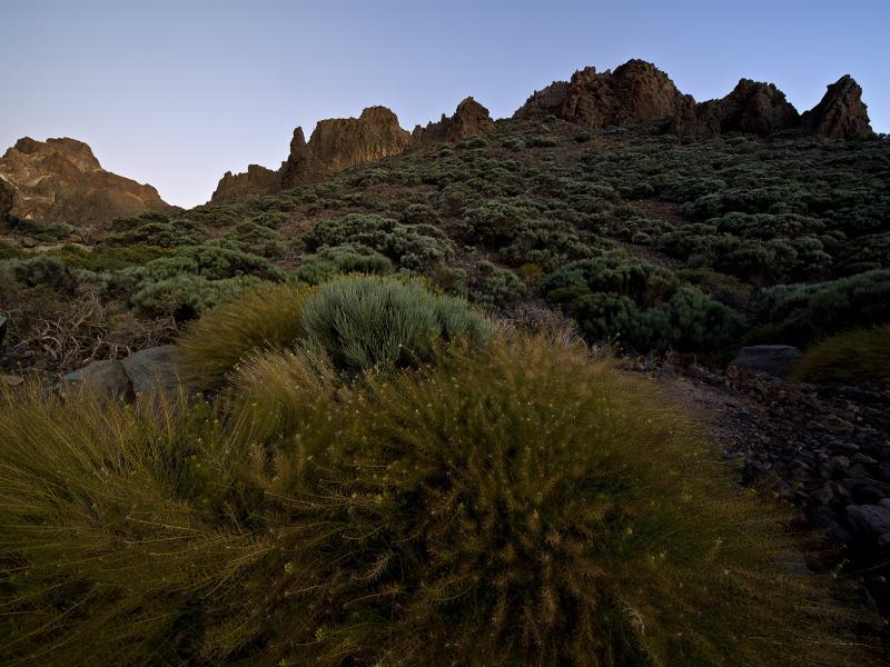 Teide National Park