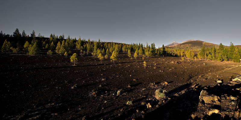 Teide National Park